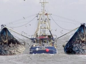 Fishing boat